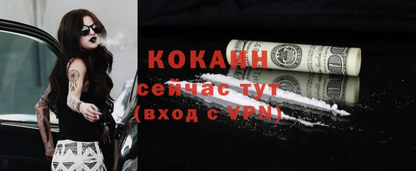 молекула духа Сосновка