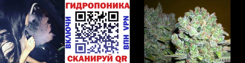 дарнет шоп  Верхнеуральск  Шишки марихуана марихуана 
